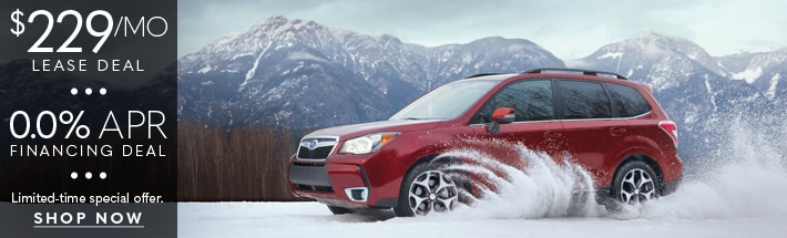 Modren 2018 2017 U0026 2018 Subaru Forester Deals Offers End November 30 2017 For Subaru 0 Financing 2018 subaru 0 financing. Modren 2018 2017 U0026 2018 Subaru Forester Deals Offers End November 30 2017 For Subaru 0 Financing