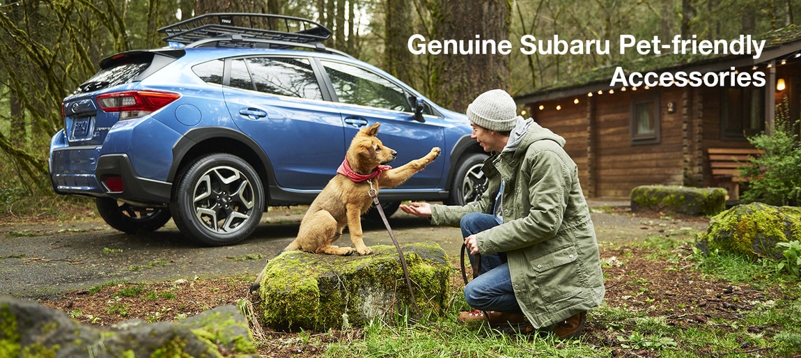 Subaru Pet Accessories
