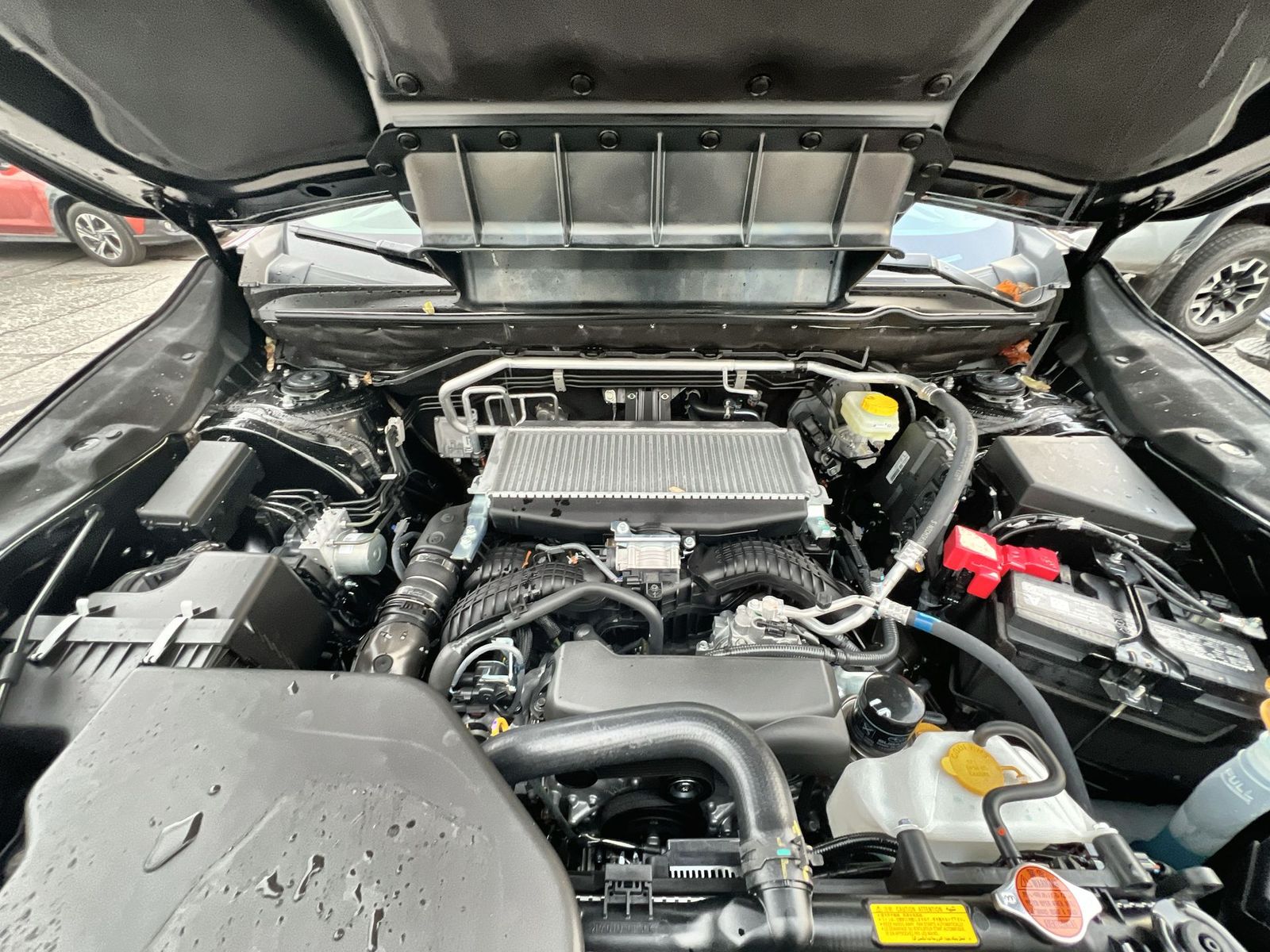 2025 Subaru Ascent Limited - Photo 19