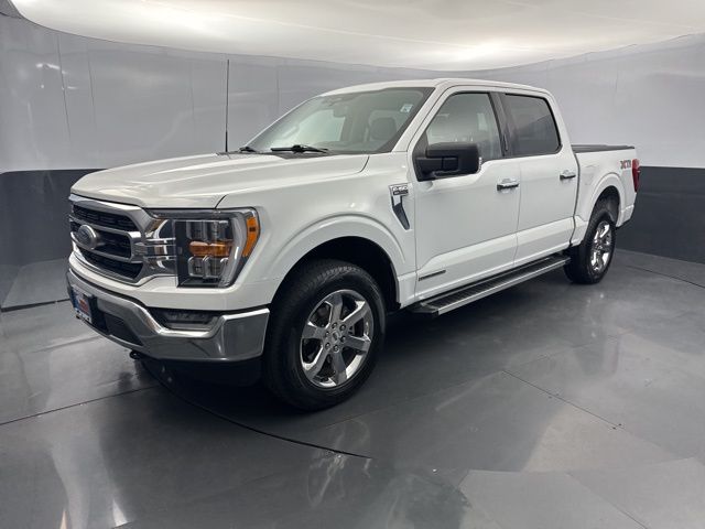 2023 Ford F-150 XLT photo 2