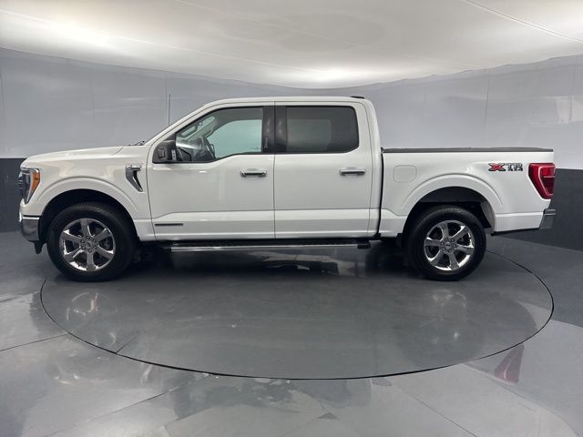 2023 Ford F-150 XLT photo 3