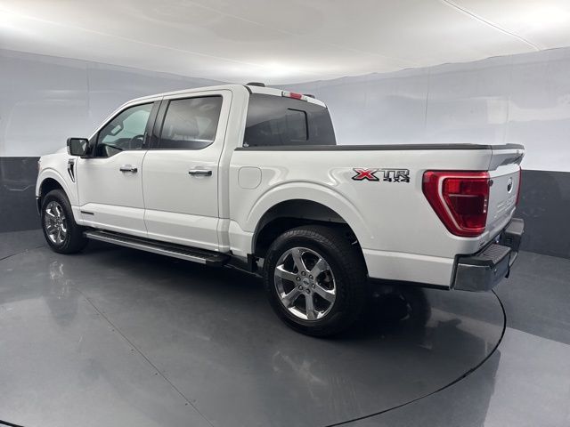 2023 Ford F-150 XLT photo 4