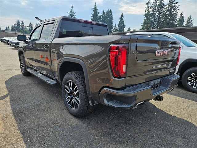 2019 Gmc Sierra 1500 AT4 photo 3
