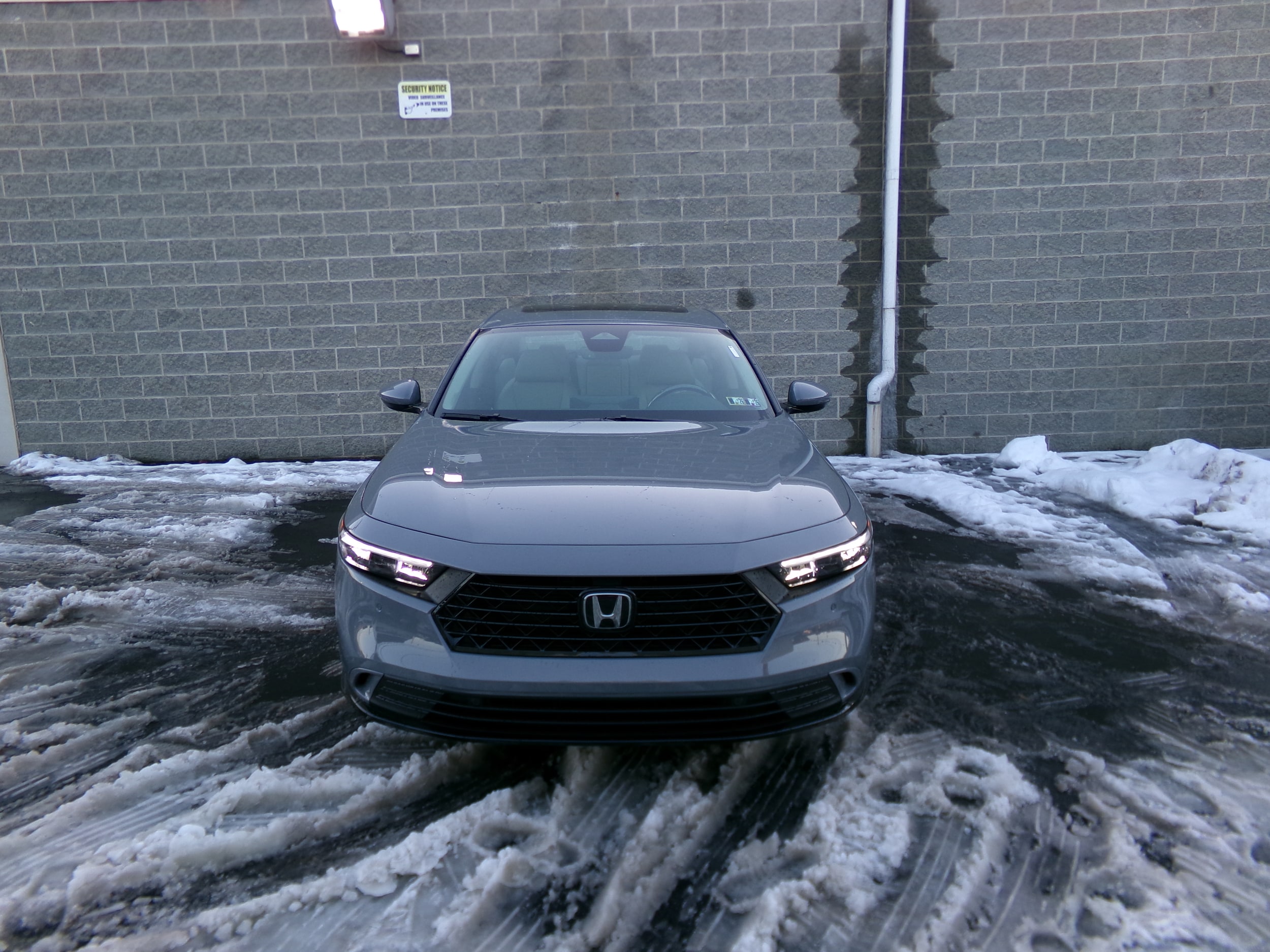 2025 Honda Accord Hybrid EX-L's photo