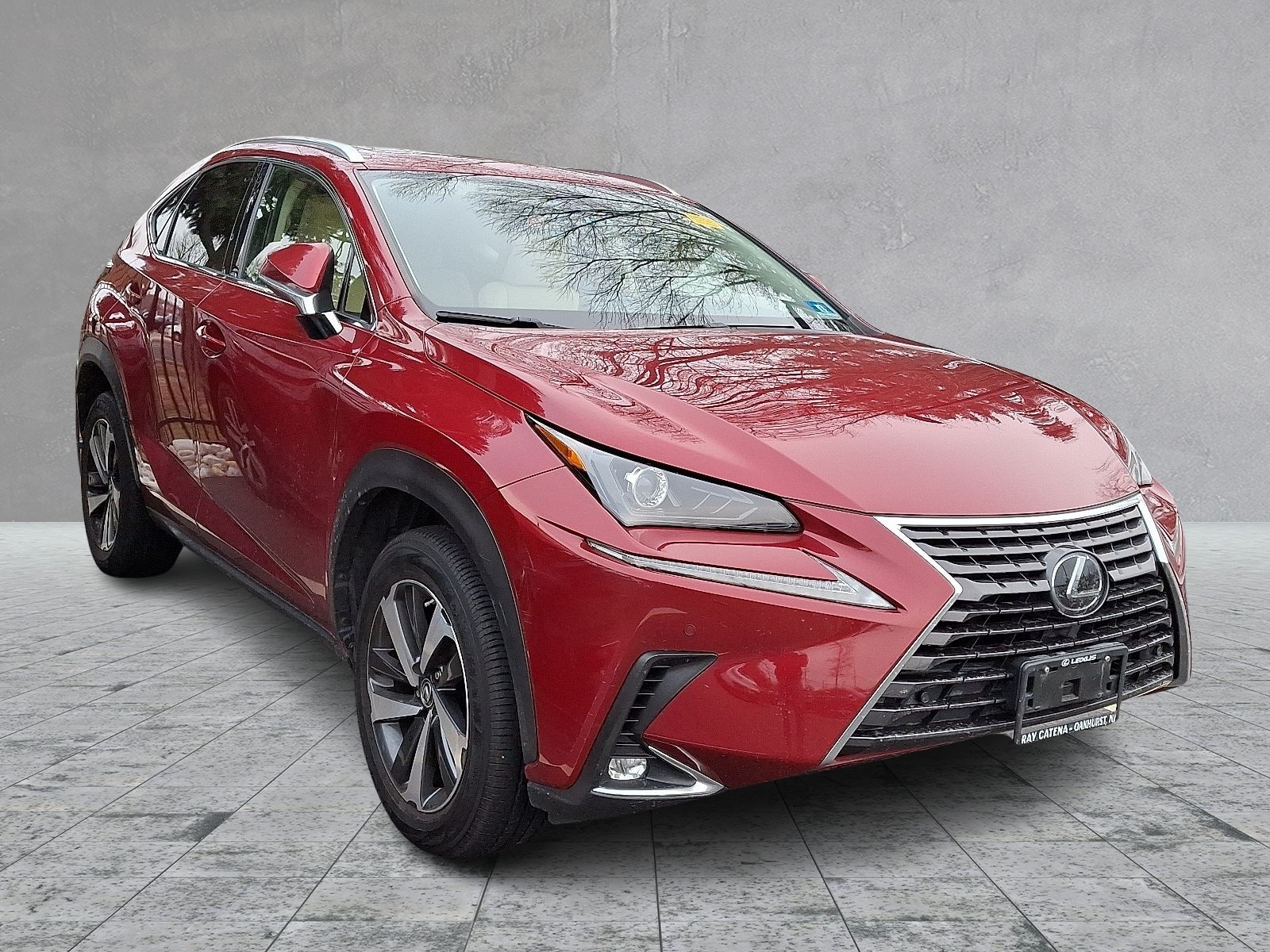 2020 Lexus NX 300's photo
