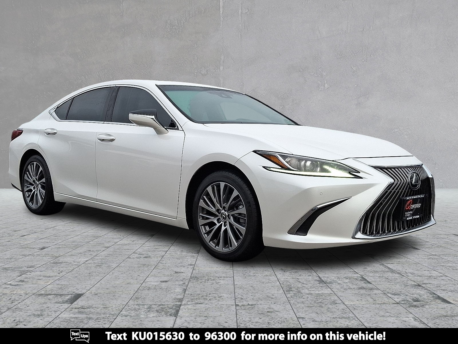 2019 Lexus ES 350's photo