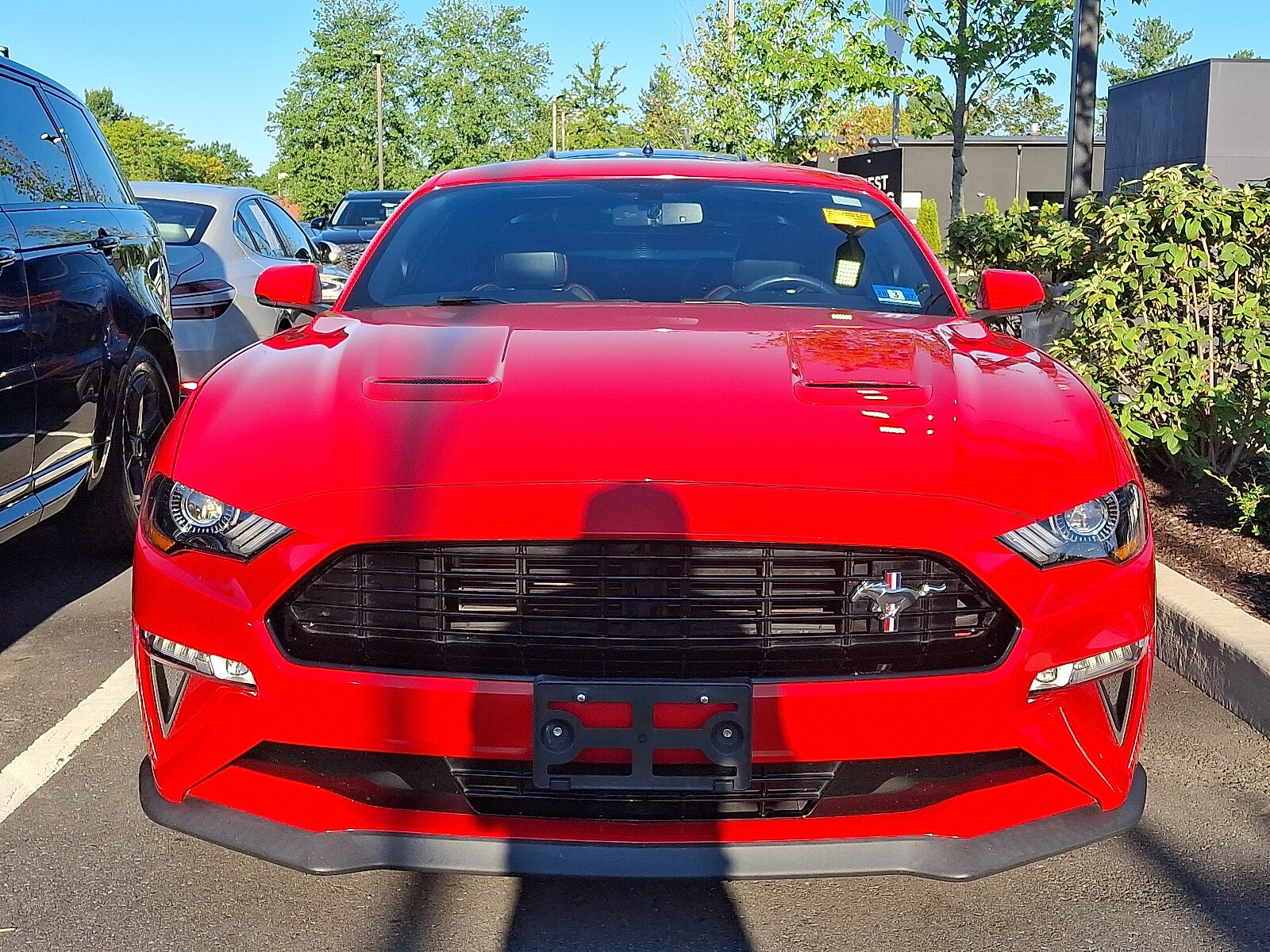 2020 Ford Mustang GT Premium photo 2