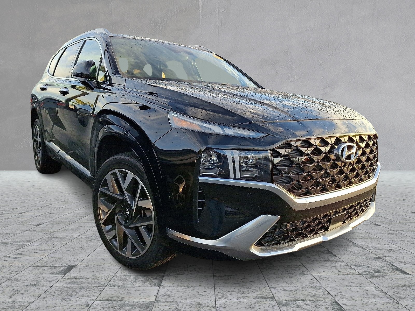 2023 Hyundai Santa Fe Calligraphy's photo