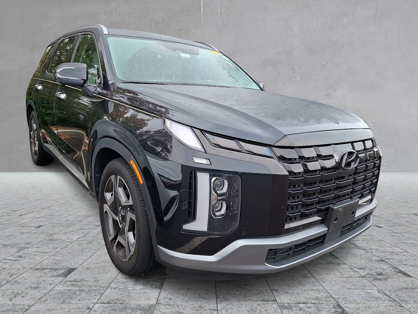 2023 Hyundai Palisade Limited's photo