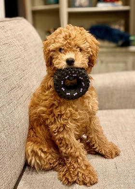 Staff member Phoebe from f25fd9406df8