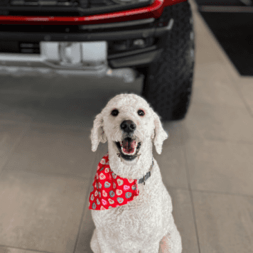 Staff member Finnegan Cook from ID_90e180