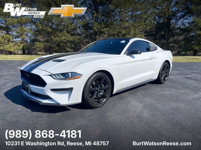 2019 Ford Mustang EcoBoost Coupe's photo