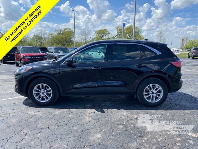 2021 Ford Escape SE photo 2