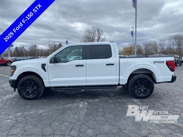 2025 Ford F-150 STX photo 2