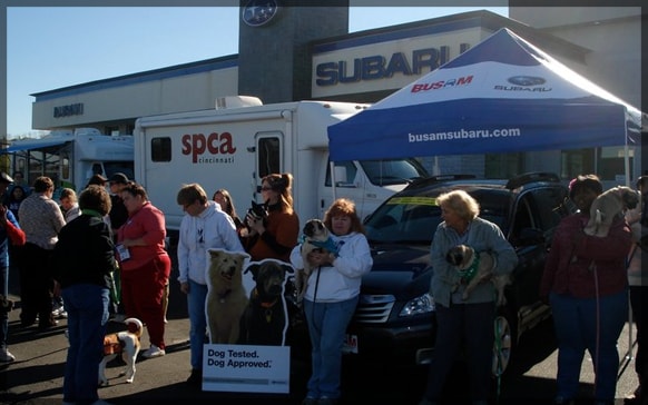 Love-A-Pet-Subaru-Cincinnati.png