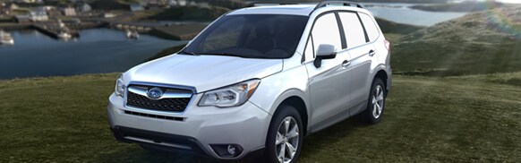 forester.jpg