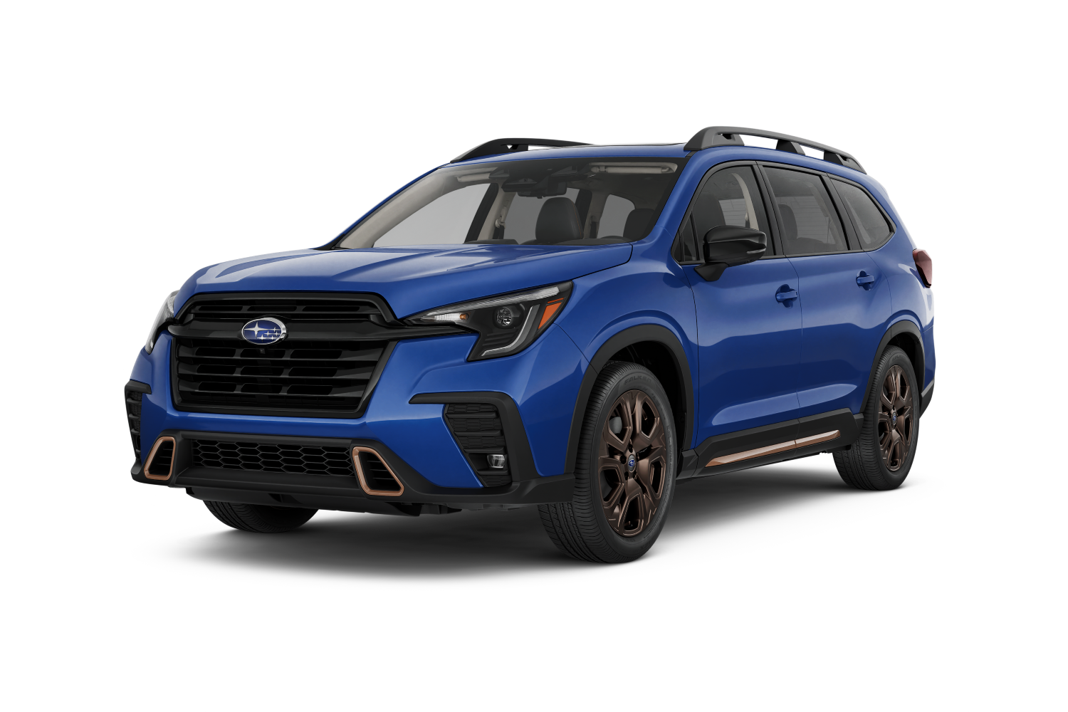 Limited Bronze Edition: