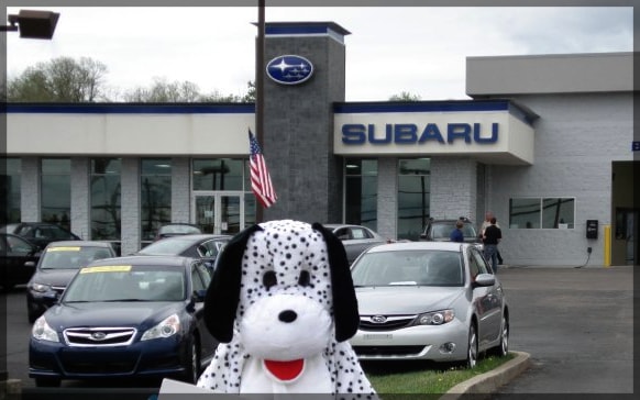 Doggy-Days-Busam-Subaru-Cincinnati.png