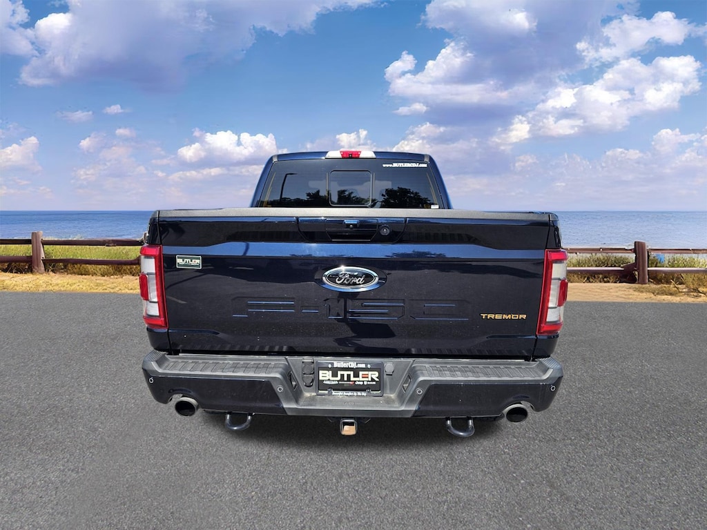 Used 2021 Ford F-150 Tremor Truck