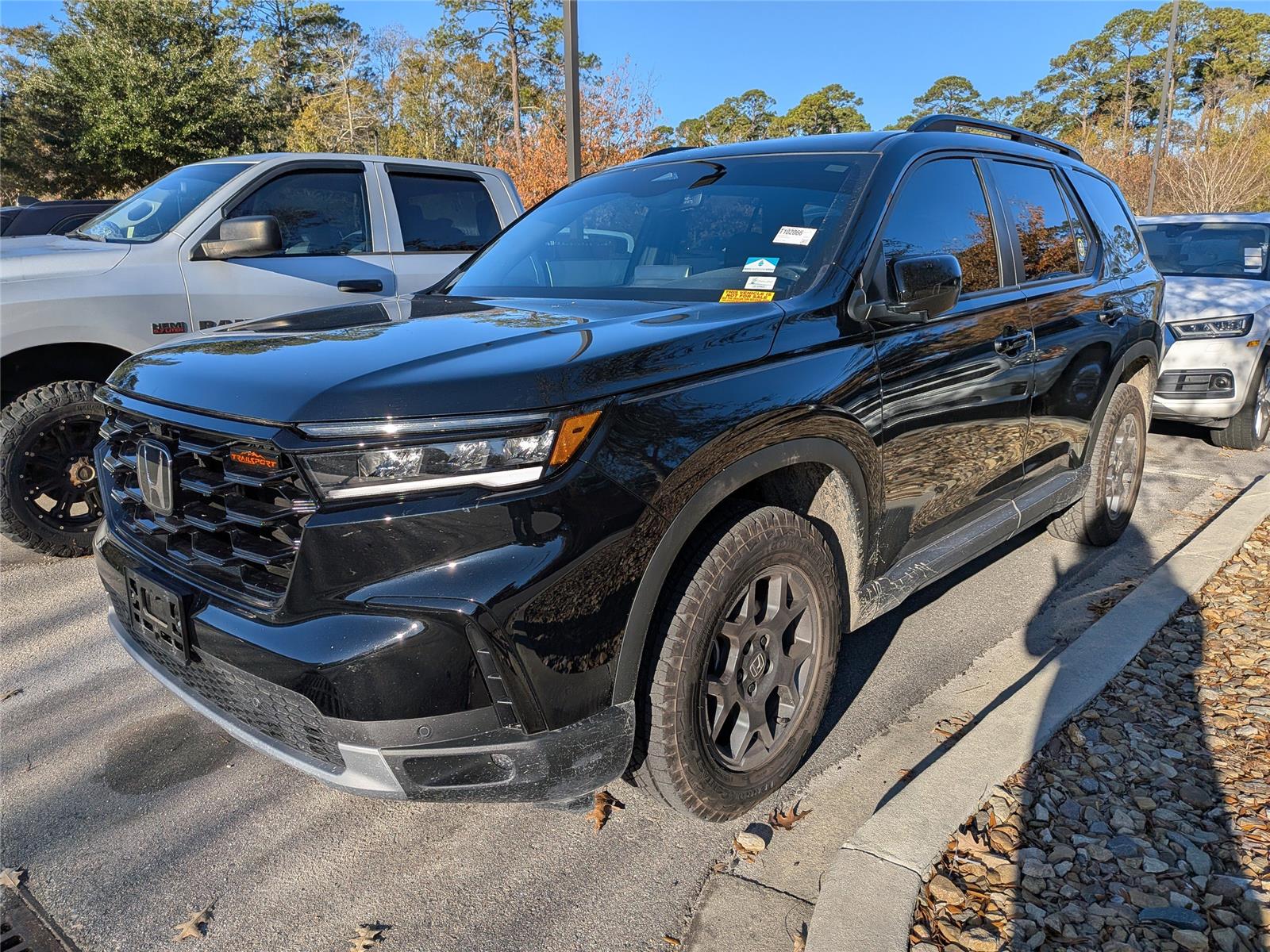 2025 Honda Pilot TrailSport's photo