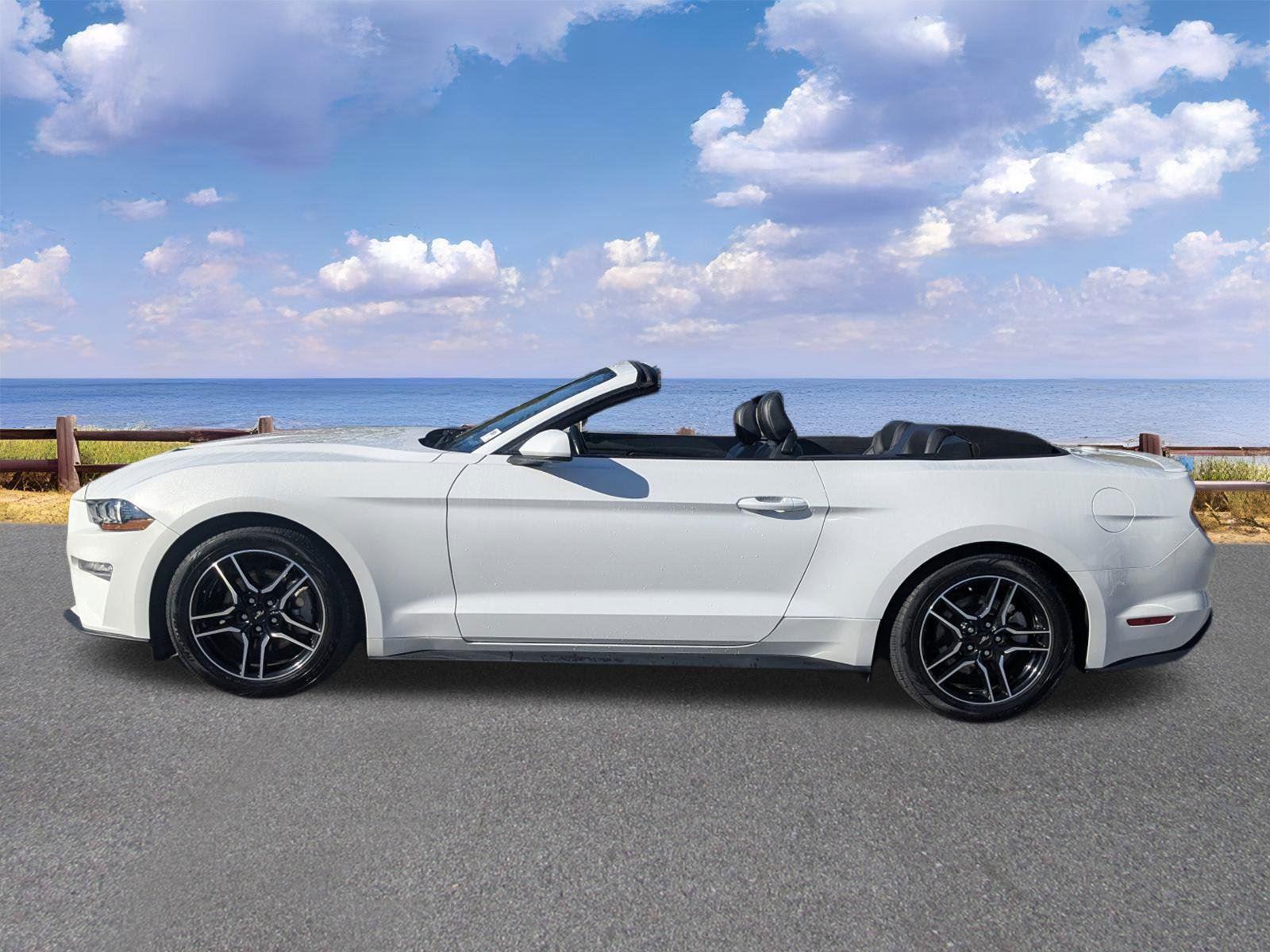 2023 Ford Mustang EcoBoost Premium Convertible photo 2
