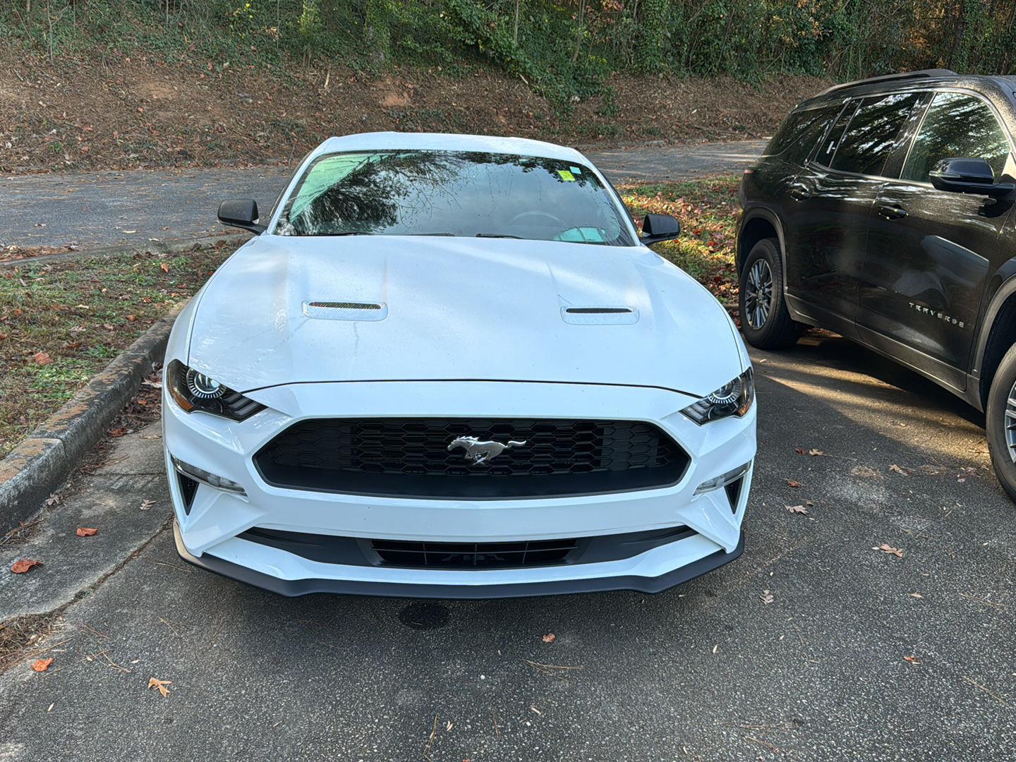 2018 Ford Mustang EcoBoost photo 3