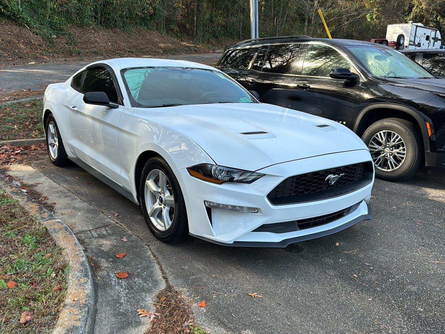 2018 Ford Mustang EcoBoost photo 4