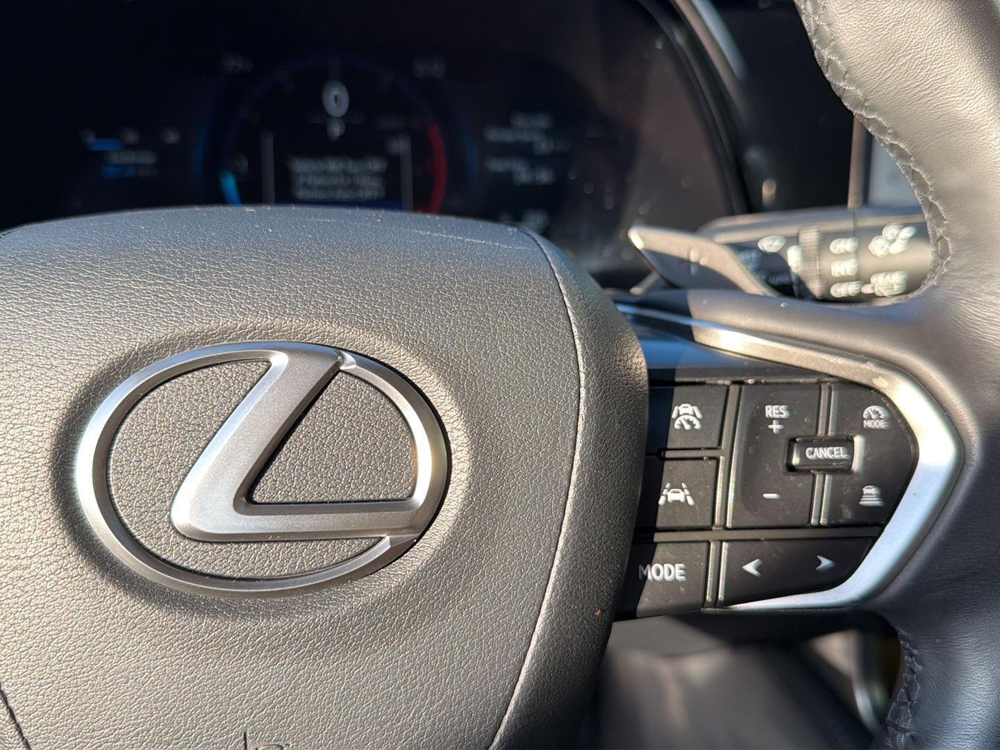 2025 Lexus RX 350 - Photo 22