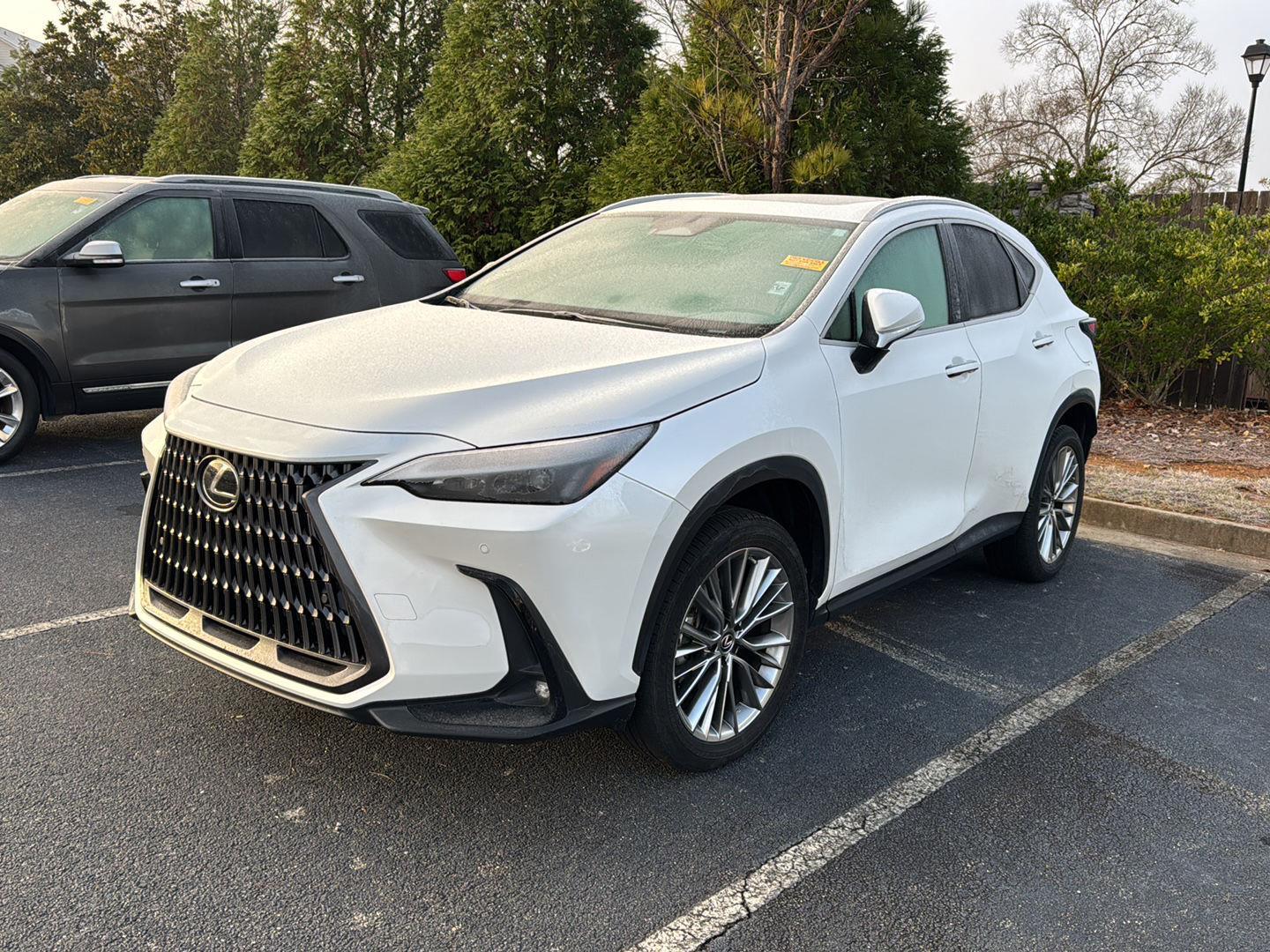 2022 Lexus NX Hybrid 350h's photo