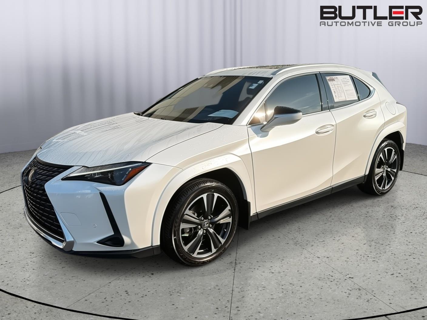 2023 Lexus UX 300h 250h Premium's photo