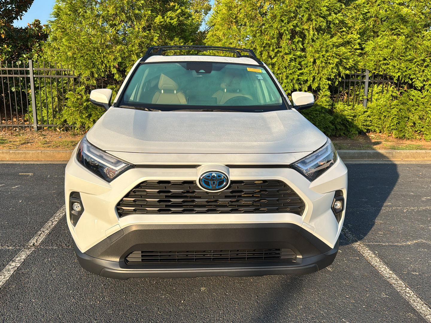 2024 Toyota RAV4 Hybrid XLE Premium photo 3