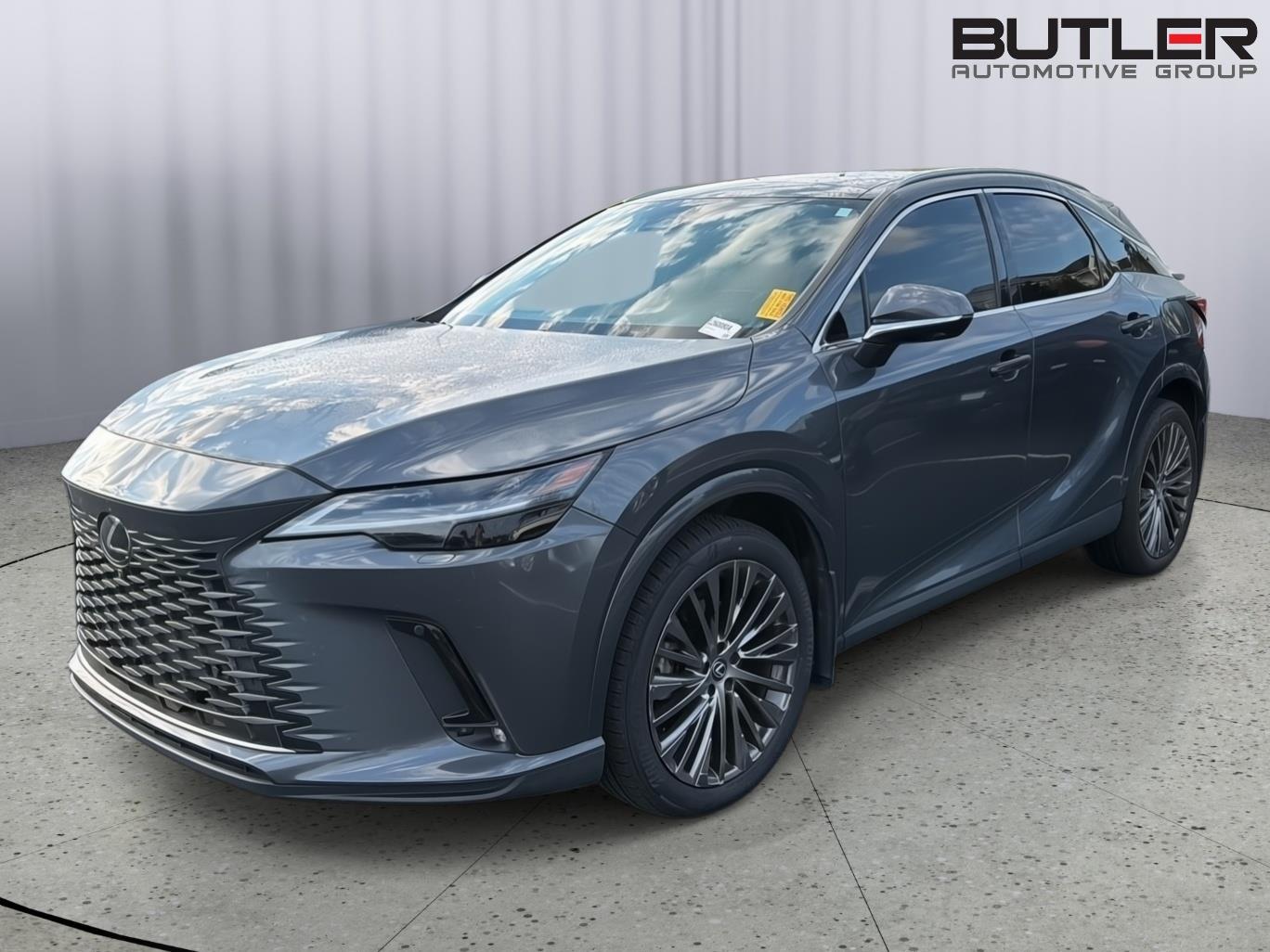 2024 Lexus RX