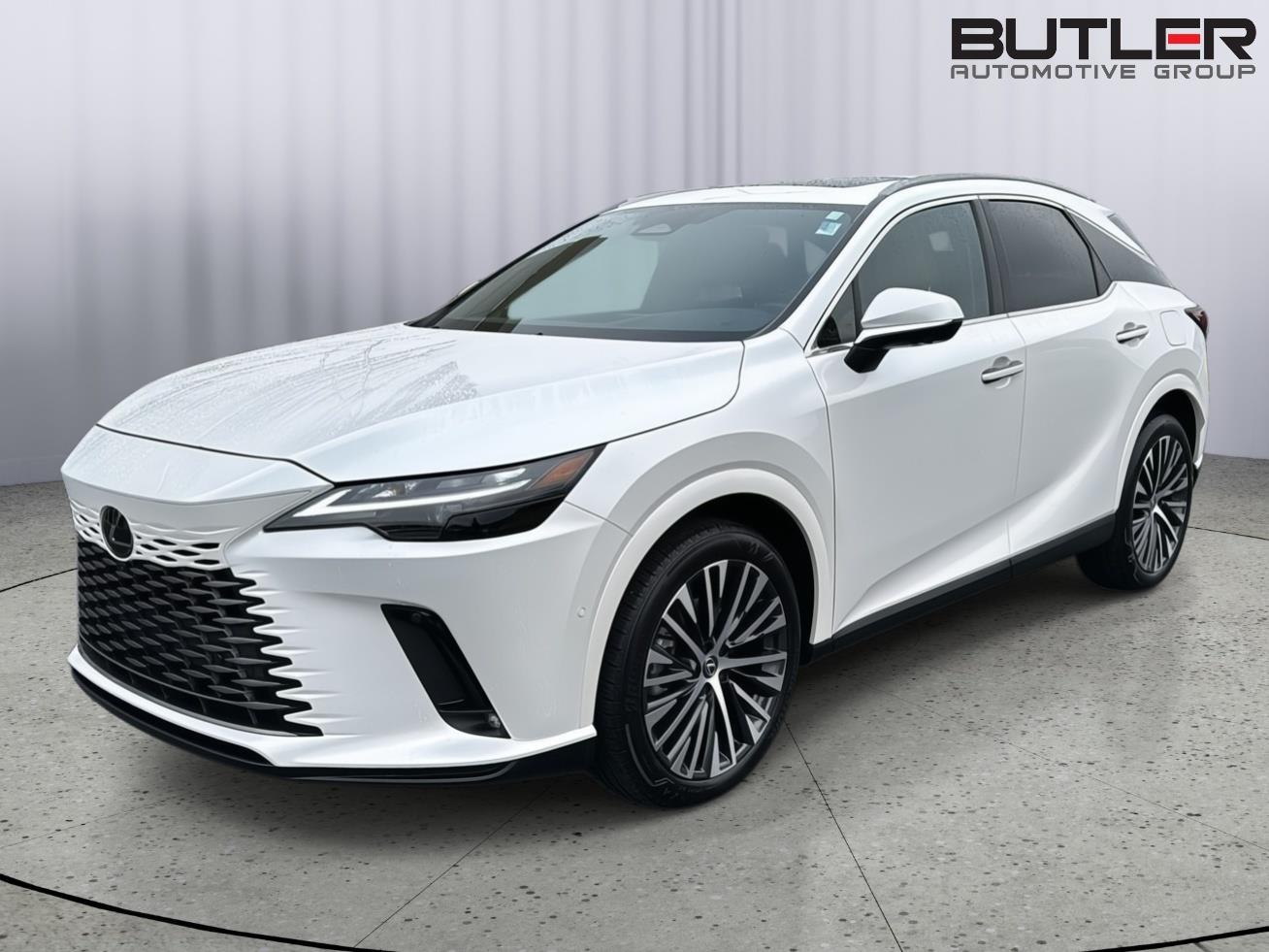 2025 Lexus RX 350's photo
