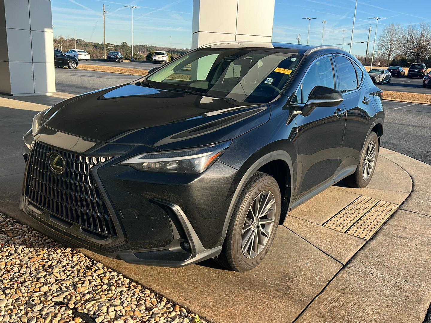 2024 Lexus NX Base's photo