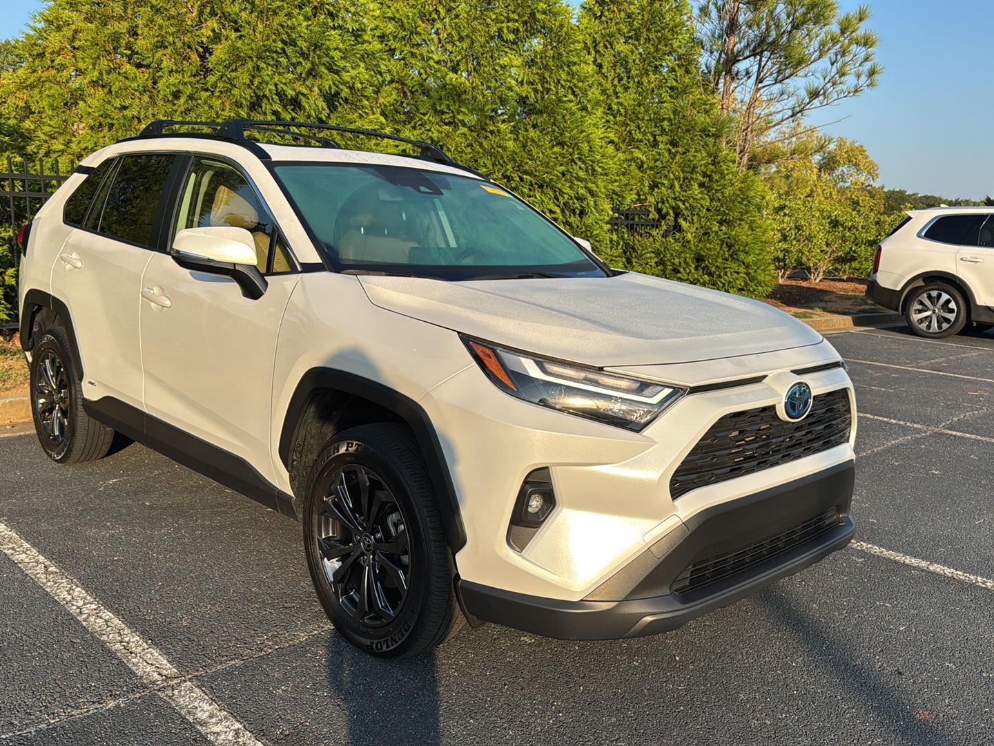 2024 Toyota RAV4 Hybrid XLE Premium photo 4