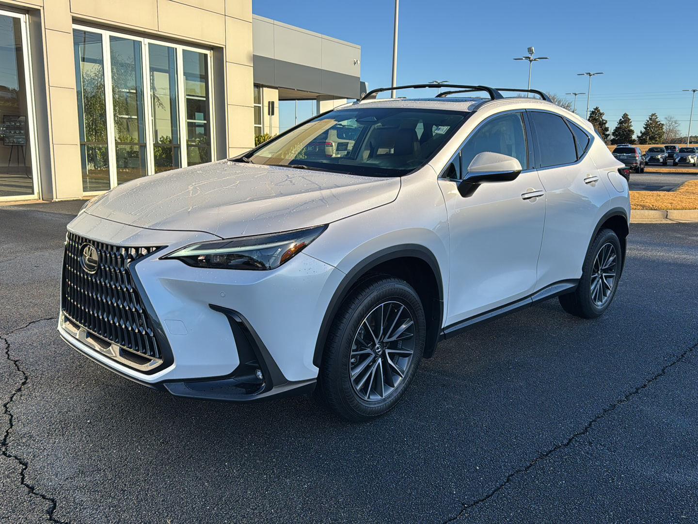 2024 Lexus NX 250's photo