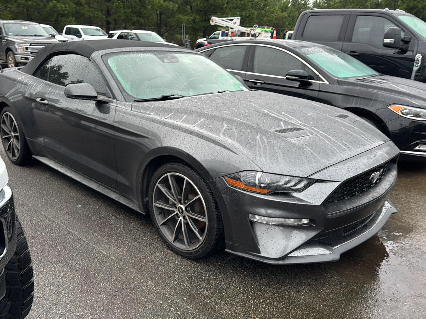 2019 Ford Mustang EcoBoost Premium photo 3