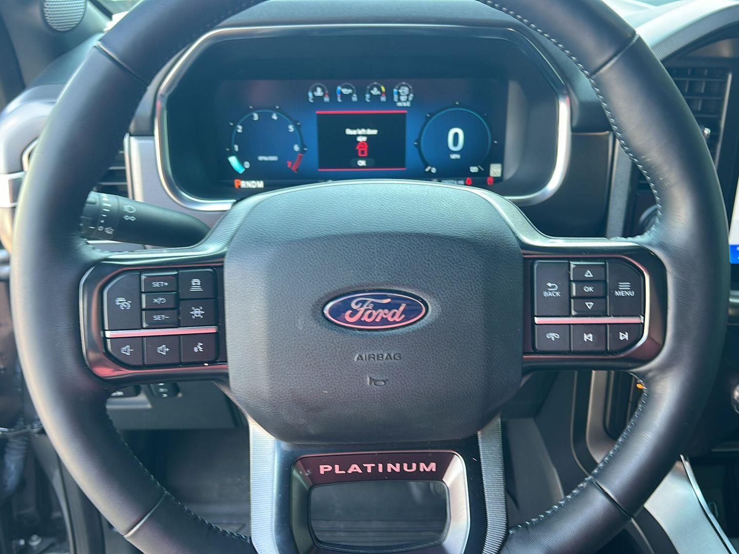 2024 Ford F-150 Platinum - Photo 21