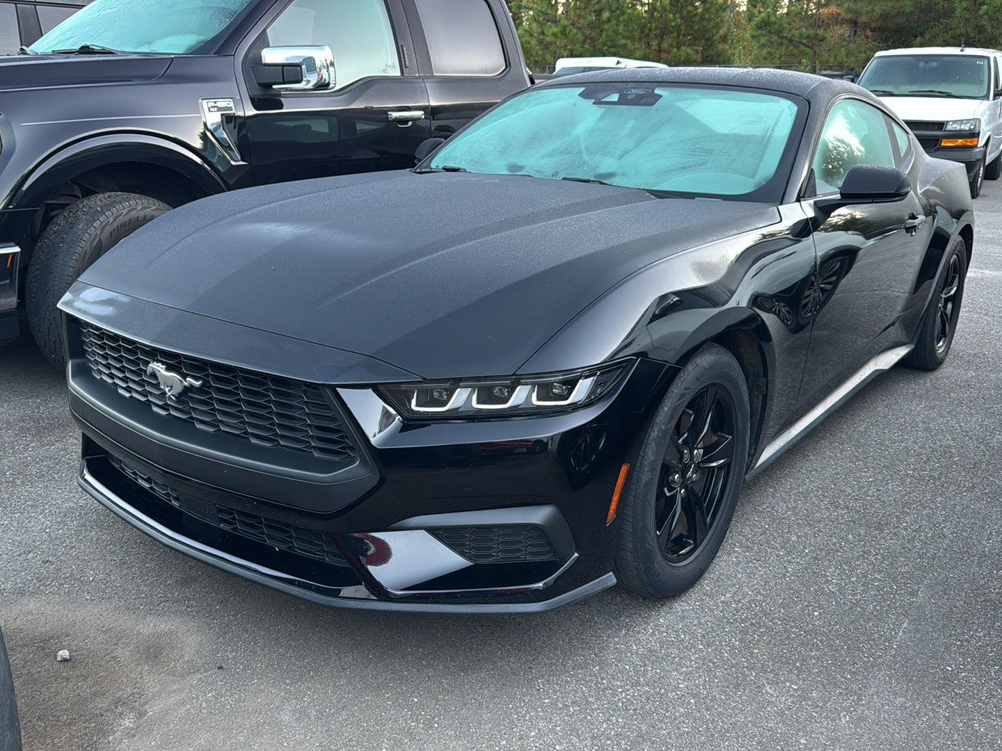 2024 Ford Mustang EcoBoost photo 2