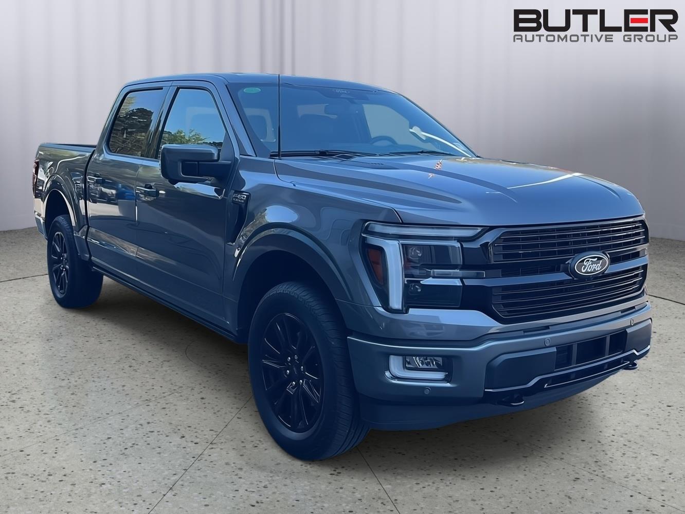 2024 Ford F-150 Platinum - Photo 8