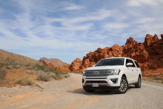 ford%20tint%20laws%20georgia.jpg