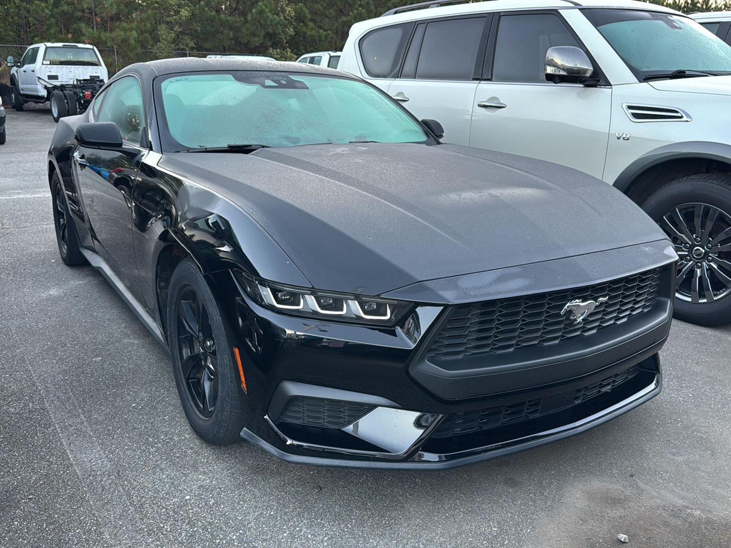 2024 Ford Mustang EcoBoost photo 4