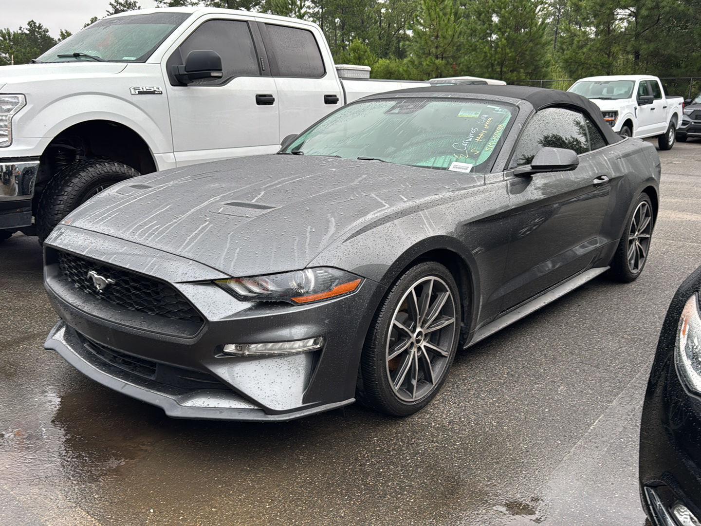 2019 Ford Mustang EcoBoost Premium photo 2