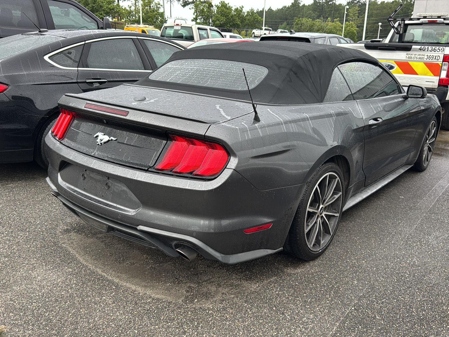 2019 Ford Mustang EcoBoost Premium photo 4