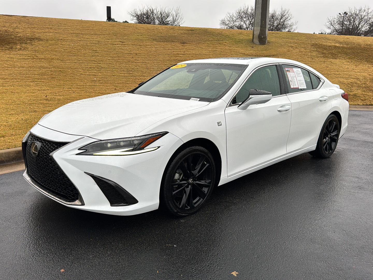 2023 Lexus ES 350 F SPORT Design's photo