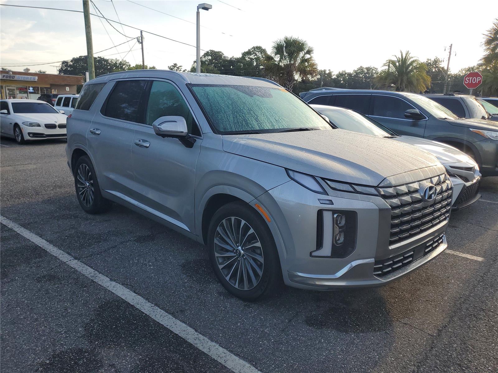 2024 Hyundai Palisade Calligraphy photo 4