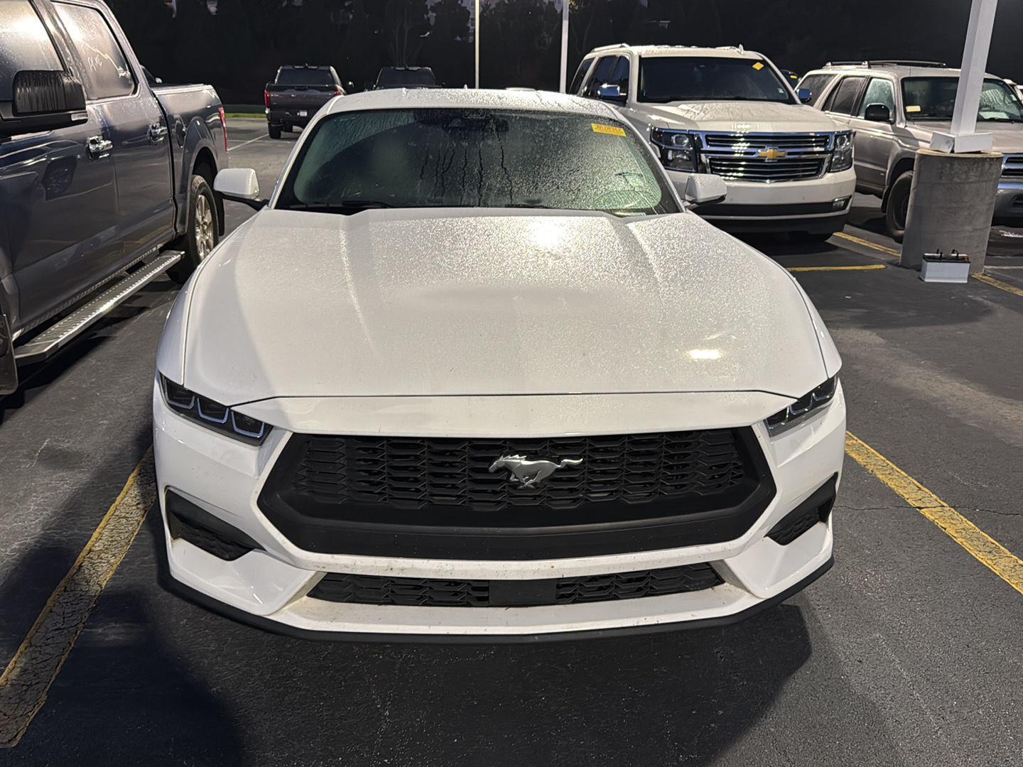 2024 Ford Mustang EcoBoost Premium photo 3