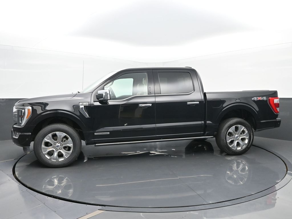 Used 2021 Ford F-150 Platinum with VIN 1FTFW1ED7MFB20245 for sale in Kokomo, IN