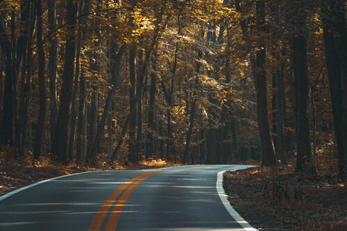 asphalt-1867667_1920.gif