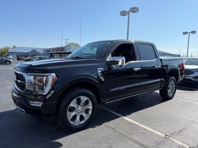 2021 Ford F-150 Platinum photo 3